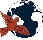 RadJoy Bird W:Earth