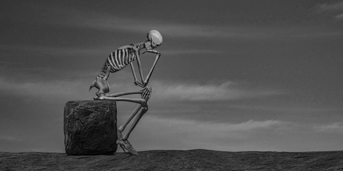 Skeleton